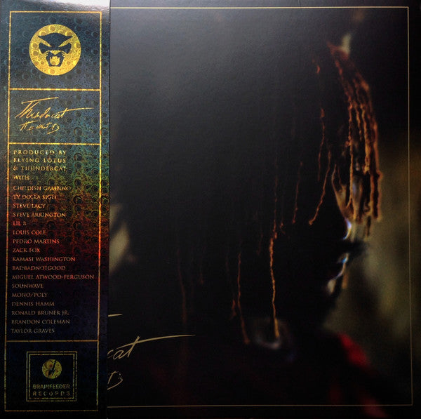 Thundercat - It Is What It Is (RED VINYL) | Mint (M) Mint (M)