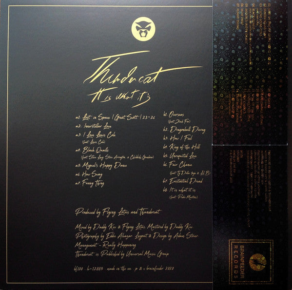 Thundercat - It Is What It Is (RED VINYL) | Mint (M) Mint (M)